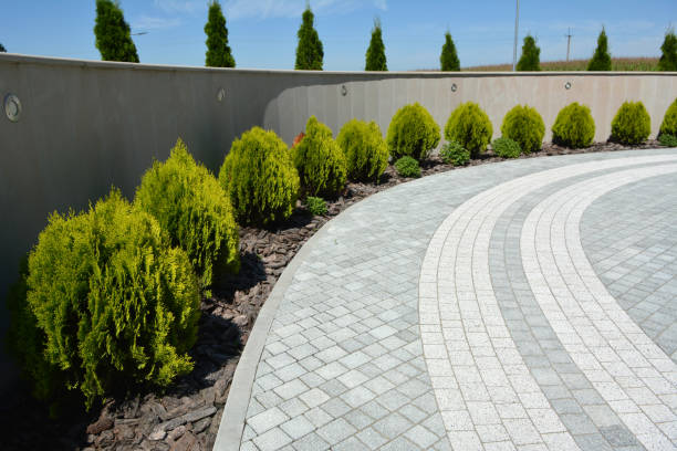 Reasons to Select Us for Your Driveway Paving Requirements in Wichita Falls, TX